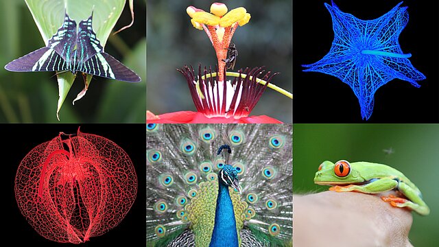 LehrForum Bionik 2026 in Hamburg