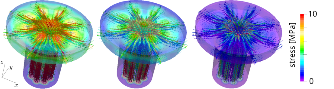 Simulation eines Spannungs-Relaxations-Versuchs (Druckbelastung in z-Richtung) in der Übergangszone von Stephania japonica mit spezifizierter Faserorganisation; dargestellt sind die von-Mises-Spannungen